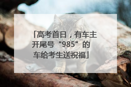 高考首日，有车主开尾号“985”的车给考生送祝福