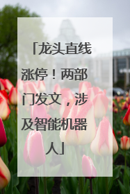 龙头直线涨停！两部门发文，涉及智能机器人