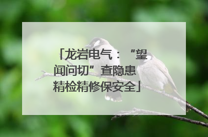 龙岩电气：“望闻问切”查隐患 精检精修保安全