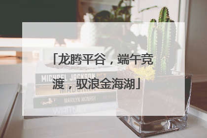 龙腾平谷，端午竞渡，驭浪金海湖