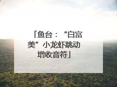 鱼台：“白富美”小龙虾跳动增收音符