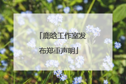 鹿晗工作室发布郑重声明