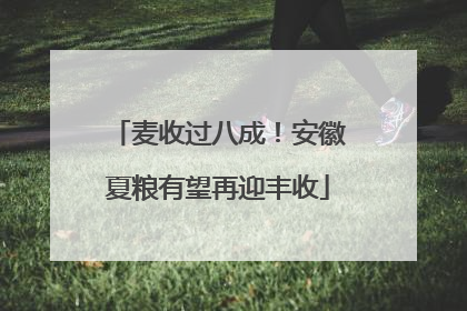 麦收过八成！安徽夏粮有望再迎丰收