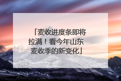 麦收进度条即将拉满！看今年山东麦收季的新变化