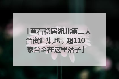 黄石稳居湖北第二大台资汇集地，超110家台企在这里落子