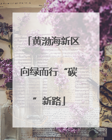 黄渤海新区向绿而行“碳”新路