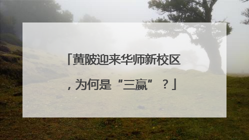 黄陂迎来华师新校区，为何是“三赢”？