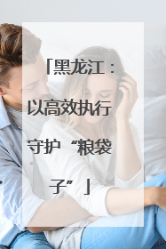 黑龙江：以高效执行守护“粮袋子”