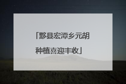 黟县宏潭乡元胡种植喜迎丰收
