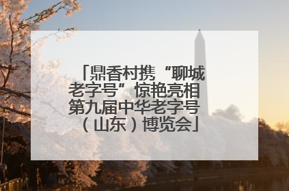 鼎香村携“聊城老字号”惊艳亮相第九届中华老字号（山东）博览会