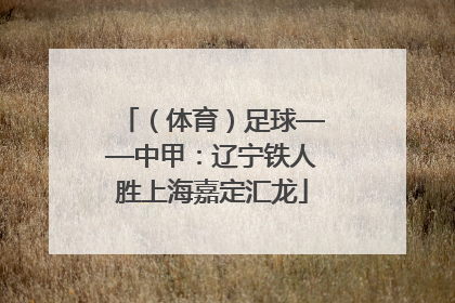 （体育）足球——中甲：辽宁铁人胜上海嘉定汇龙