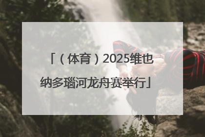 （体育）2025维也纳多瑙河龙舟赛举行