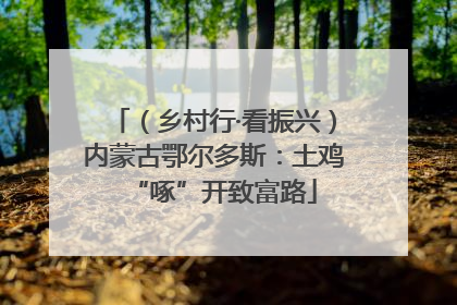 （乡村行·看振兴）内蒙古鄂尔多斯：土鸡“啄”开致富路