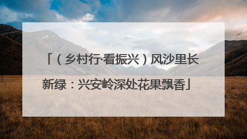 （乡村行·看振兴）风沙里长新绿：兴安岭深处花果飘香