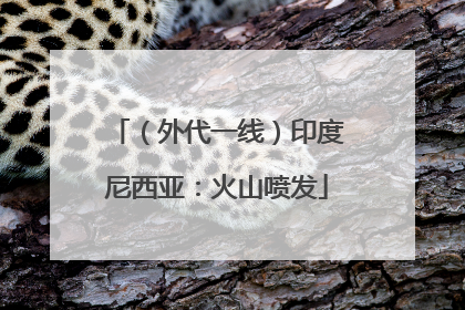 （外代一线）印度尼西亚：火山喷发