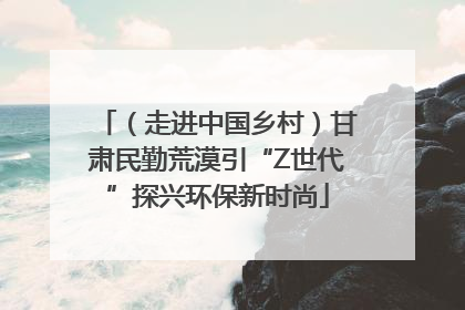 （走进中国乡村）甘肃民勤荒漠引“Z世代”探兴环保新时尚