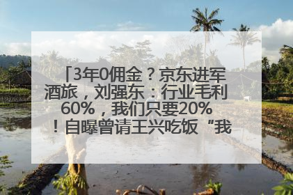3年0佣金？京东进军酒旅，刘强东：行业毛利60%，我们只要20%！自曝曾请王兴吃饭“我要做外卖了”