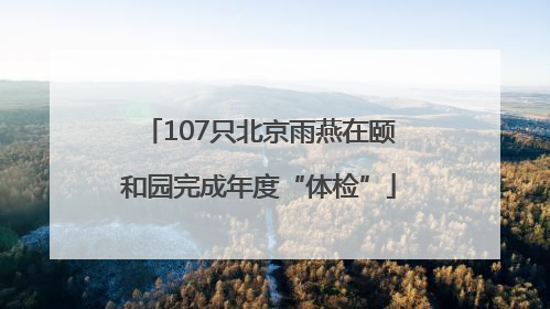 107只北京雨燕在颐和园完成年度“体检”