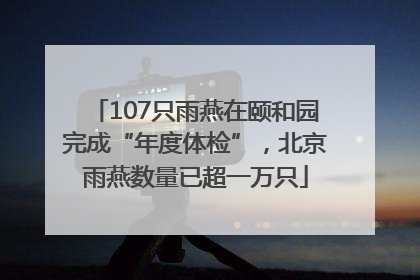 107只雨燕在颐和园完成“年度体检”，北京雨燕数量已超一万只