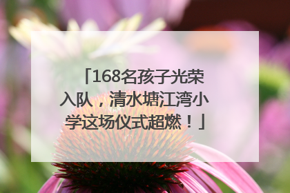 168名孩子光荣入队，清水塘江湾小学这场仪式超燃！