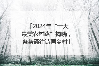 2024年“十大最美农村路”揭晓，条条通往诗画乡村