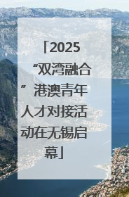 2025“双湾融合”港澳青年人才对接活动在无锡启幕