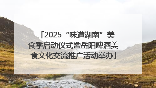 2025“味道湖南”美食季启动仪式暨岳阳啤酒美食文化交流推广活动举办