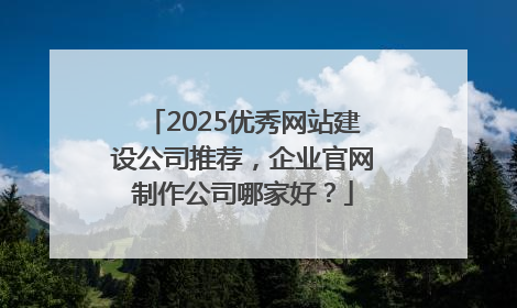 2025优秀网站建设公司推荐，企业官网制作公司哪家好？