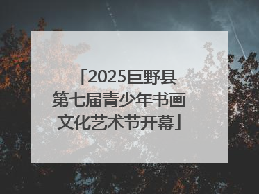 2025巨野县第七届青少年书画文化艺术节开幕