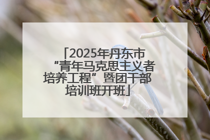2025年丹东市“青年马克思主义者培养工程”暨团干部培训班开班