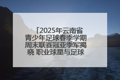 2025年云南省青少年足球春季学期周末联赛冠亚季军揭晓 职业球星与足球小将共享荣耀时刻