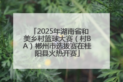 2025年湖南省和美乡村篮球大赛（村BA）郴州市选拔赛在桂阳县火热开赛