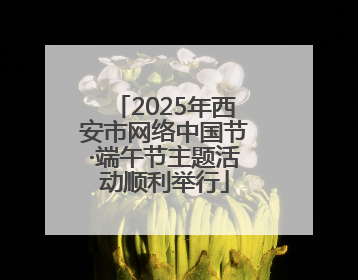 2025年西安市网络中国节·端午节主题活动顺利举行