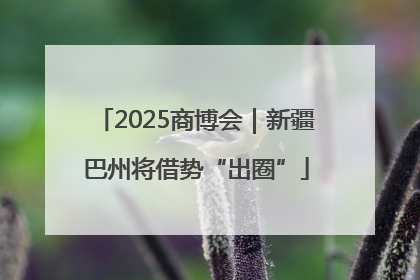 2025商博会｜新疆巴州将借势“出圈”