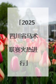 2025四川省马术联赛火热进行