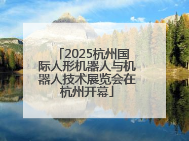 2025杭州国际人形机器人与机器人技术展览会在杭州开幕
