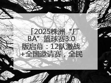 2025株洲“厂BA”篮球赛3.0版启幕：12队激战+全国邀请赛，全民狂欢升级