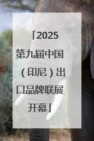 2025第九届中国（印尼）出口品牌联展开幕
