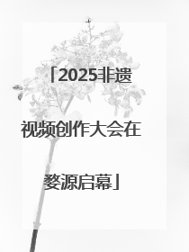2025非遗视频创作大会在婺源启幕