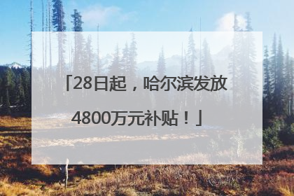 28日起，哈尔滨发放4800万元补贴！