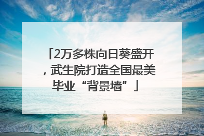 2万多株向日葵盛开，武生院打造全国最美毕业“背景墙”