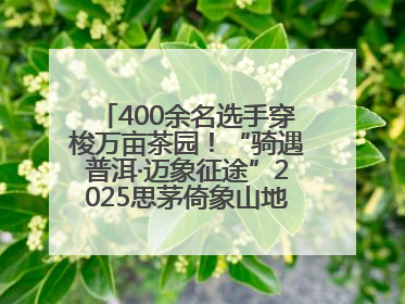 400余名选手穿梭万亩茶园！“骑遇普洱·迈象征途”2025思茅倚象山地自行车赛圆满举行