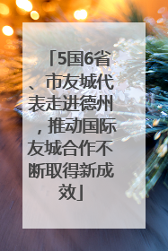5国6省、市友城代表走进德州，推动国际友城合作不断取得新成效