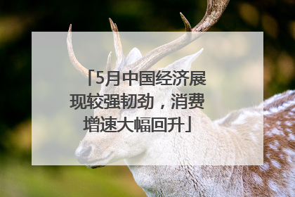 5月中国经济展现较强韧劲，消费增速大幅回升