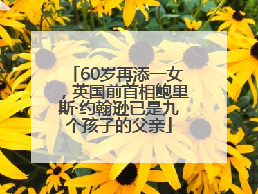 60岁再添一女，英国前首相鲍里斯·约翰逊已是九个孩子的父亲