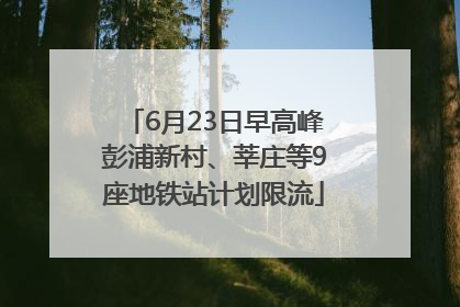 6月23日早高峰彭浦新村、莘庄等9座地铁站计划限流
