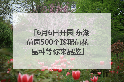 6月6日开园 东湖荷园500个珍稀荷花品种等你来品鉴