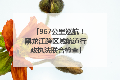 967公里巡航！黑龙江跨区域航道行政执法联合检查