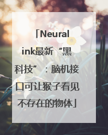 Neuralink最新“黑科技”：脑机接口可让猴子看见不存在的物体